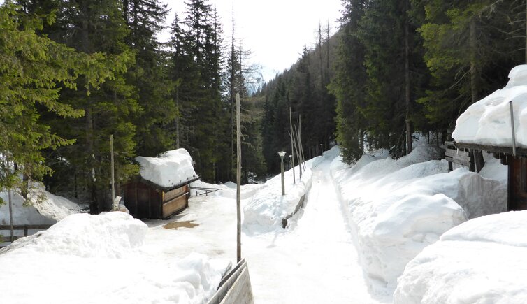 weg nr und rodelbahn moscha ultental schlwemmalm