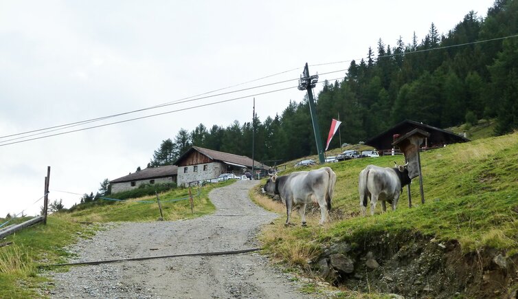 tarscher alm strasse