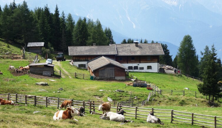 taistner alm