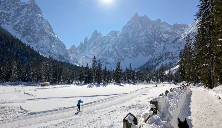 Val Fiscalina fischleintal winter inverno langlaufen loipen sci da fondo pista dolomiti di sesto