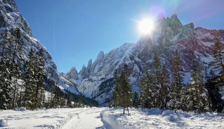 Val Fiscalina con Cima Una sullo sfondo fischleintal winter inverno mit einserkofel