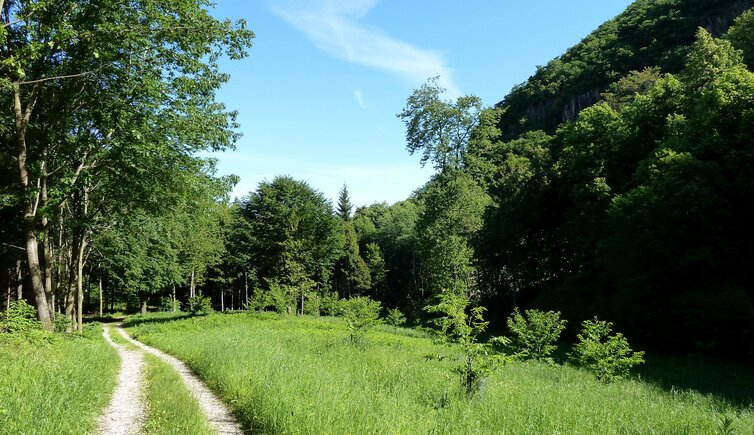 forstweg valplon kalterer unterberg