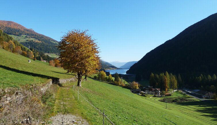 ultner hoefeweg bei kuppelwies und zoggler stausee