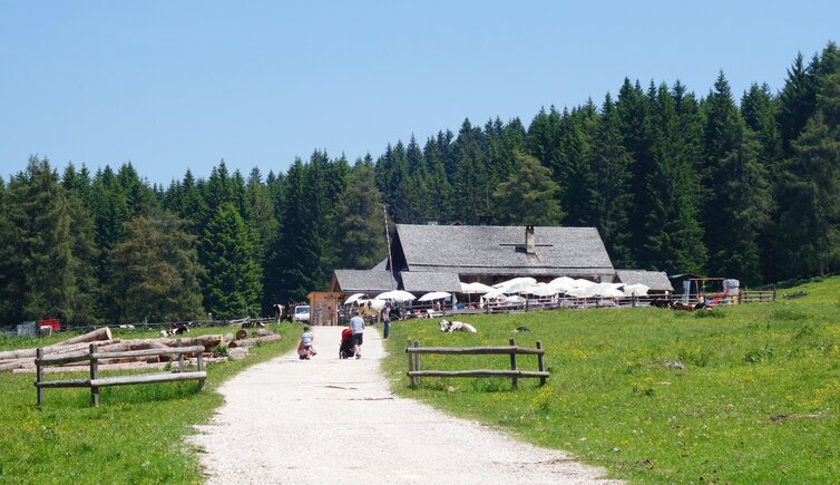 schoenrast alm malga belriposo aldein