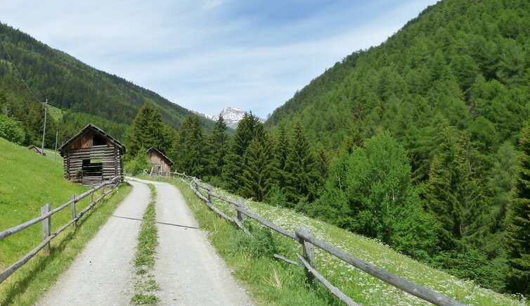 stundenweg wiesen im schliniger tal