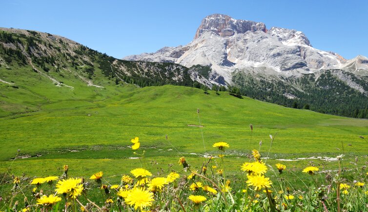 plaetzwiese und hohe gaisl