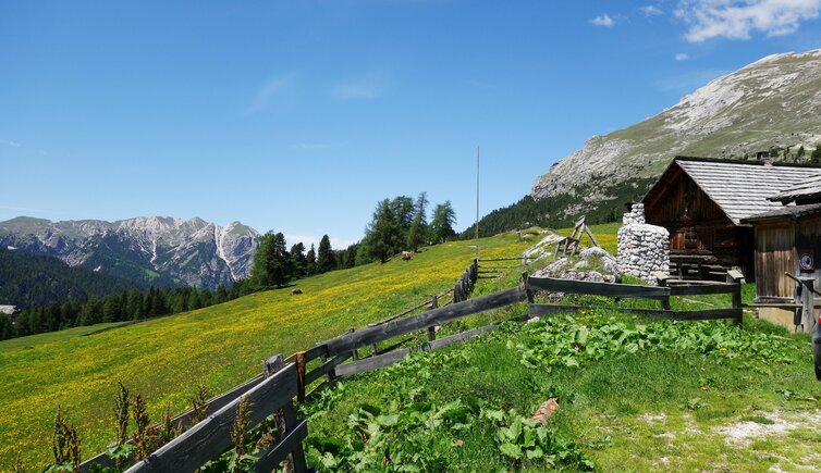 almhuette plaetzwiese rundblick fr