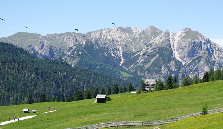 plaetzwiesen und pragser dolomiten fr