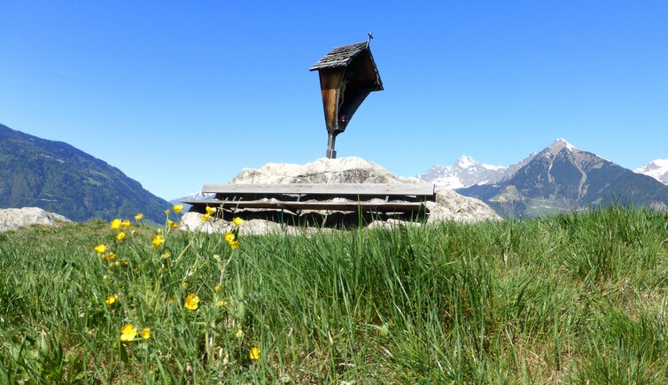 Kampfelkreuz am wiesenweg schenna