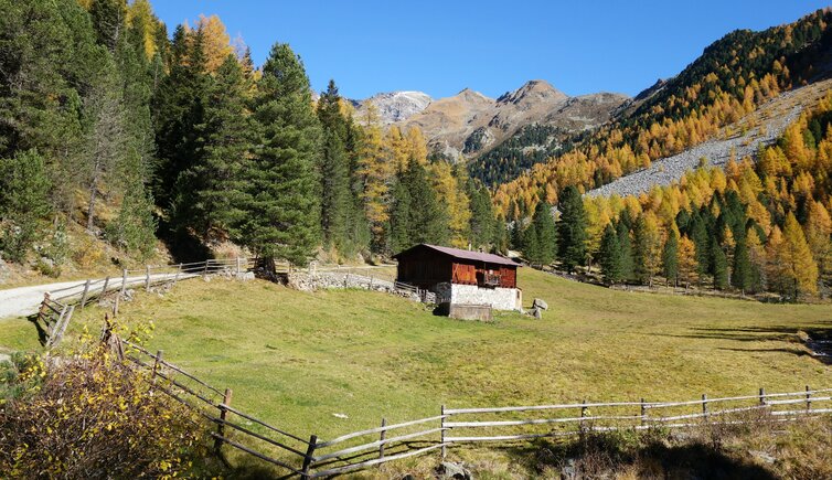 herbst muehlbachtal bei oberbacher alm