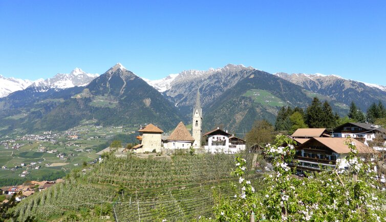 st georgen bei schenna fruehling