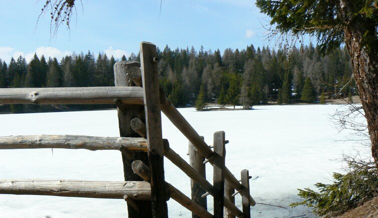 Felixer Weiher Deutschnonsberg P