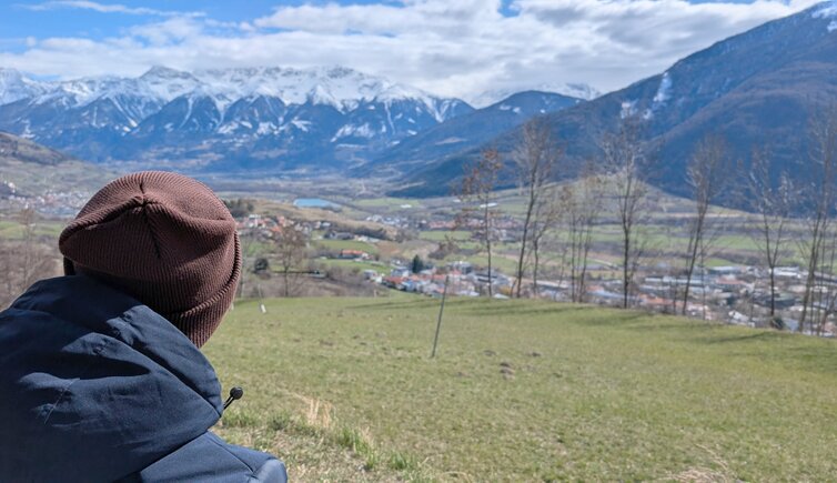 blick ueber bank in mals auf den tarscher buehl mals und den ortler