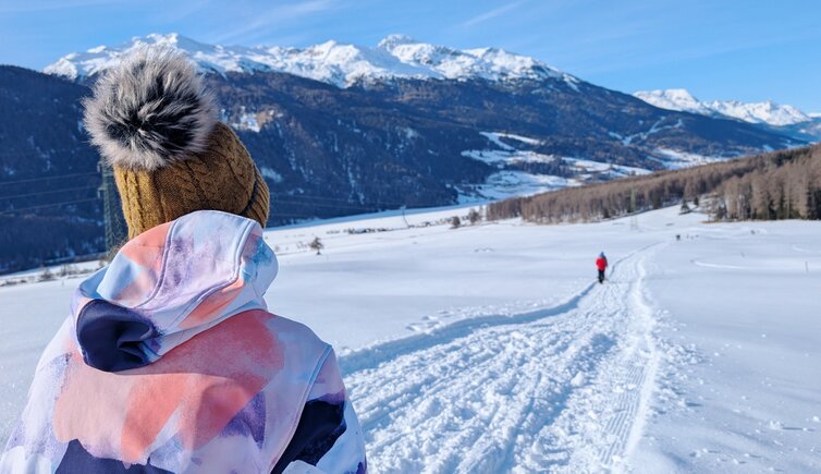 blick runter die rodelbahn in plawenn vinschgau