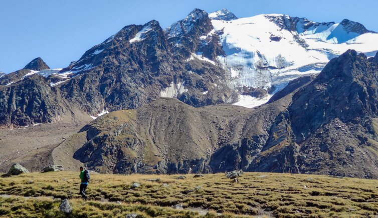 Langtaufers Gletscher