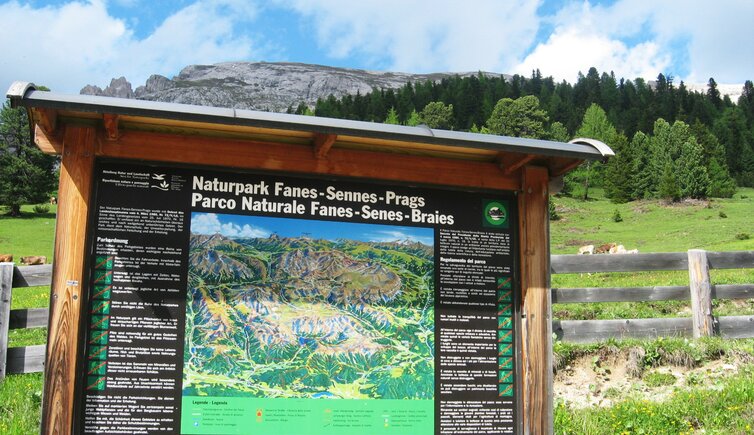 Naturpark mit Duerrenstein im Hintergrund