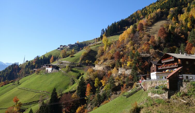 RS weg nr bei muthof talbauer herbst