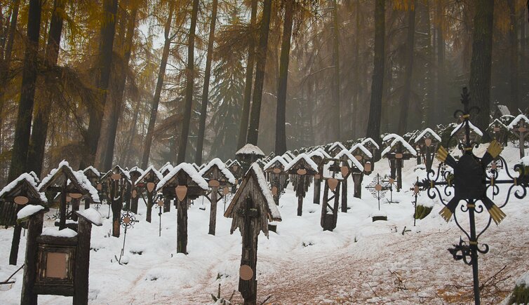 Waldfriedhof DSC