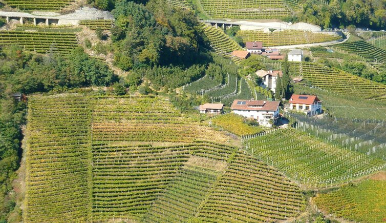 Zollweghof