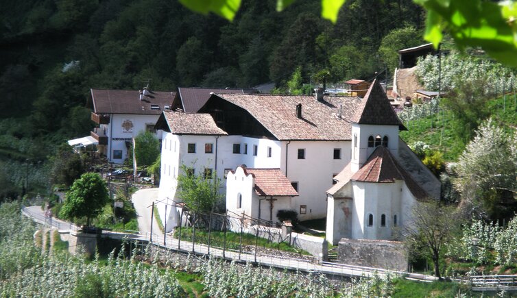 dorf tirol wandern schloss tirol aussicht auf ensemble in st peter