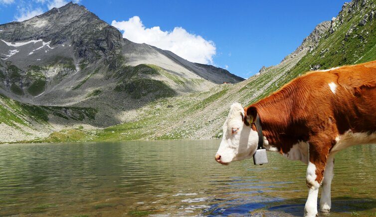 gampilalm eisbruggsee