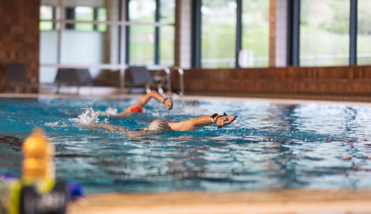 pzlr hallenbad web