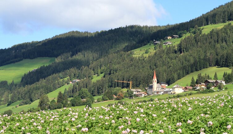 Toblach Aufkirchen