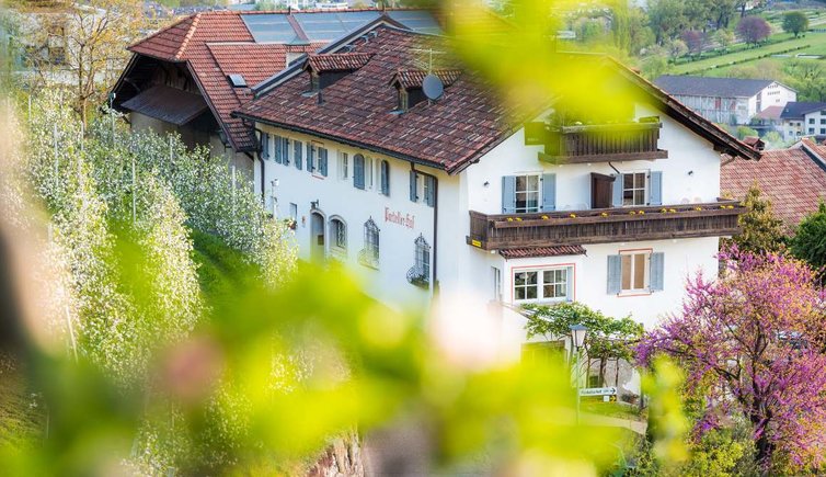 Pardellerhof Hof
