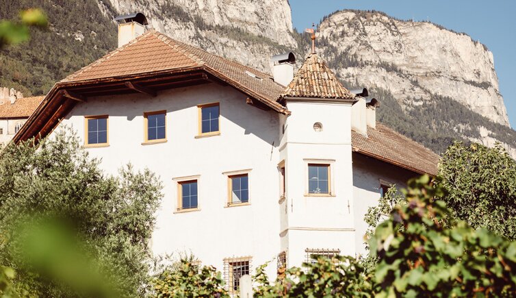 Weinhof von Payr Pfitscher Haupt