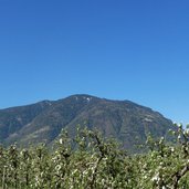 burggrafenamt meran passeiertal panorama obstbluete meran eingang passeiertal