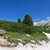 pustertal sennes alm malga sennes alm malga panorama