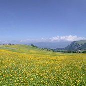 seiser alm seiseralm sommer panorama new