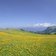 seiser alm seiseralm sommer panorama new